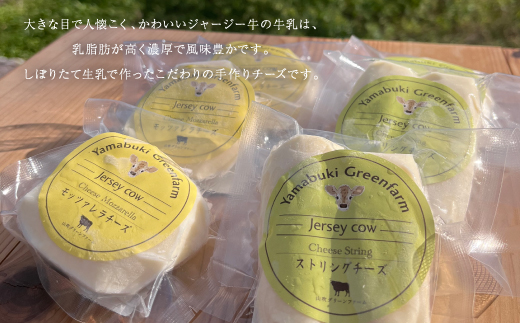 ジャージー牛のチーズ　2種セット【配送不可地域：離島】