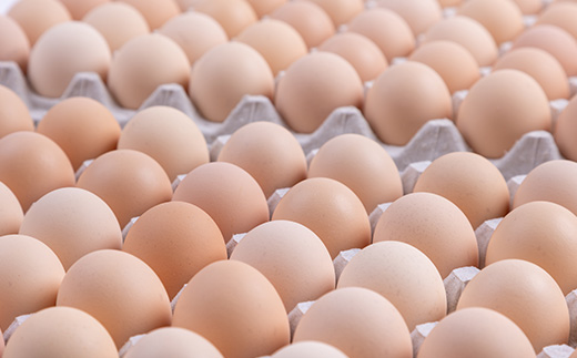 【毎月定期便】新鮮たまごMサイズ80個+割れ補償10個 全6回【配送不可地域：離島】