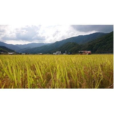 【令和7年10月中旬より順次発送】令和7年産コシヒカリ精米5kg(吉賀町産)(吉賀町)