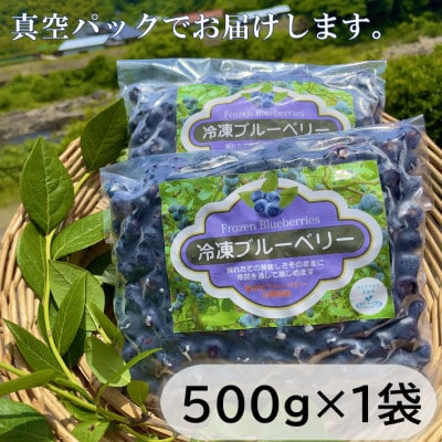 栽培期間中農薬・化学肥料不使用　吉賀町産冷凍ブルーベリー　500g【配送不可地域：離島】