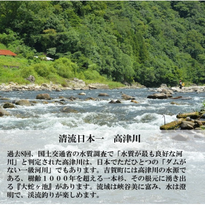 高津川天然あゆ冷凍　500g(吉賀町)【配送不可地域：離島】