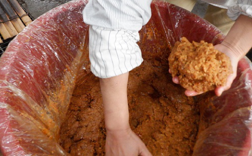 柿木ふつう味噌　1.2kg