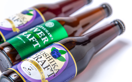 柿木ブルーベリーエール2本＆吉賀茶エール1本セット【配送不可地域：離島】