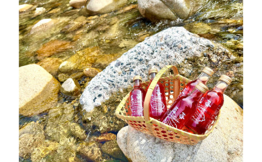 ブルーベリーサイダー　5本セット