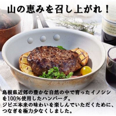 イノシシ100%ハンバーグ【プレーン】　4個セット【配送不可地域：離島】