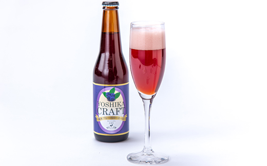 かきのきクラフト　柿木ブルーベリーエール3本セット【配送不可地域：離島】