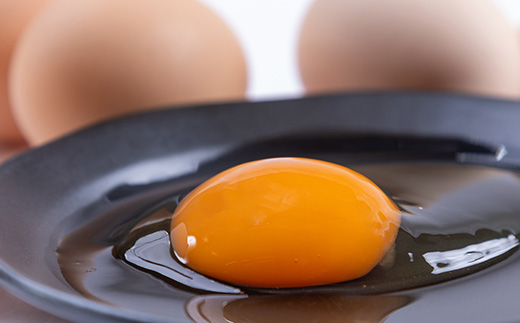 【毎月定期便】新鮮たまごMサイズ80個+割れ補償10個 全6回【配送不可地域：離島】