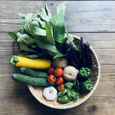 【畑から直送】吉賀町かわの農園の旬の野菜詰め合わせセット【配送不可地域：離島】