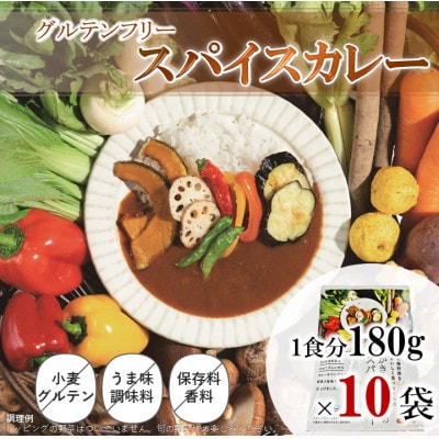 スパイスカレー　レトルト　180g×10袋