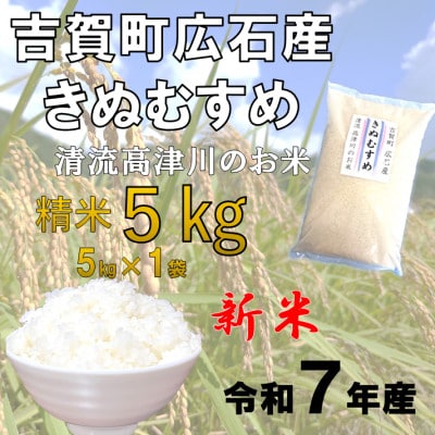令和7年産　吉賀町広石産きぬむすめ　清流高津川のお米　精米5kg