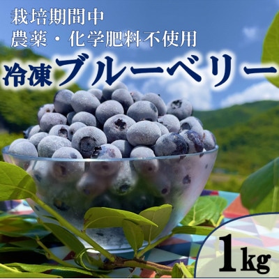 栽培期間中農薬・化学肥料不使用　吉賀町産冷凍ブルーベリー　1kg【配送不可地域：離島】