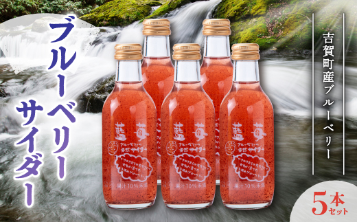 ブルーベリーサイダー　5本セット