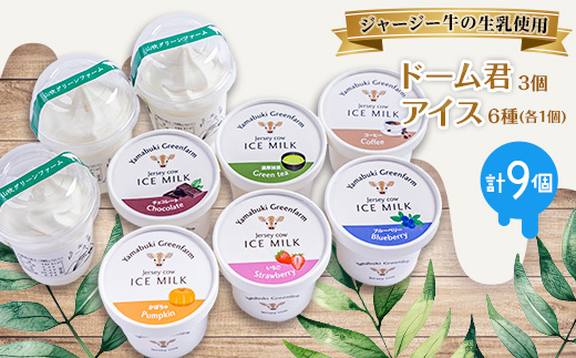 ジャージー牛の生乳を使用したドーム君3個とアイス6種(各1個)セット【配送不可地域：離島】