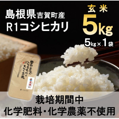 【栽培期間中化学肥料・化学農薬不使用】令和7年産R1米コシヒカリ5kg(玄米)