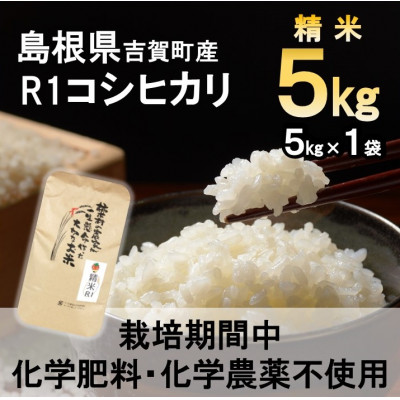 【栽培期間中化学肥料・化学農薬不使用】令和7年産R1米コシヒカリ5kg(精米)
