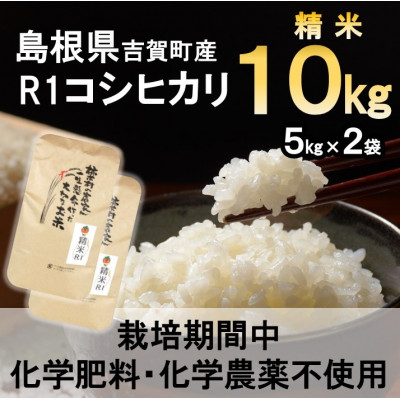 【栽培期間中化学肥料・化学農薬不使用】令和7年産R1米コシヒカリ10kg(精米)
