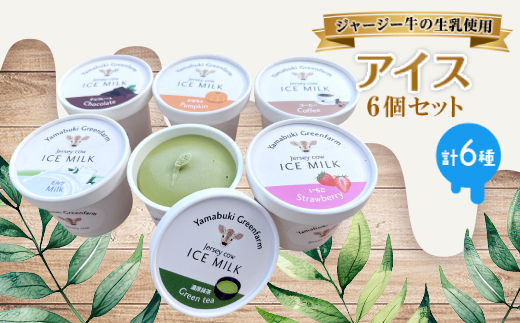 ジャージー牛の生乳を使用したアイス6個セット(ミルク・チョコ・コーヒー・いちご・抹茶・かぼちゃ)【配送不可地域：離島】