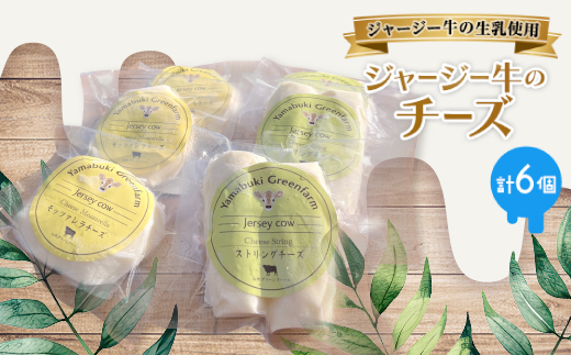 ジャージー牛のチーズ　2種セット【配送不可地域：離島】