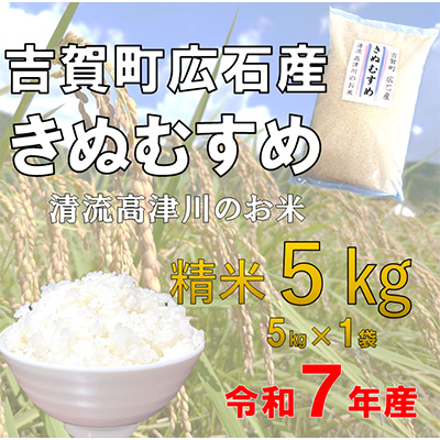 令和7年産　吉賀町広石産きぬむすめ　清流高津川のお米　精米5kg