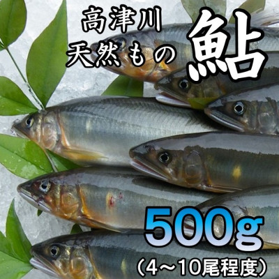 高津川天然あゆ冷凍　500g(吉賀町)【配送不可地域：離島】