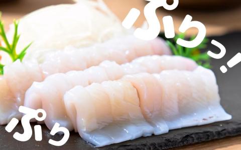 【朝どれスルメイカ 丸ごと5~6本】スルメイカ シマメ 約1kg 冷凍 刺身 個包装 捌き方説明書付き（ いか 烏賊 イカ スルメ お歳暮 年末年始 御歳暮 ギフト） 12月24日までのご注文で年内発送