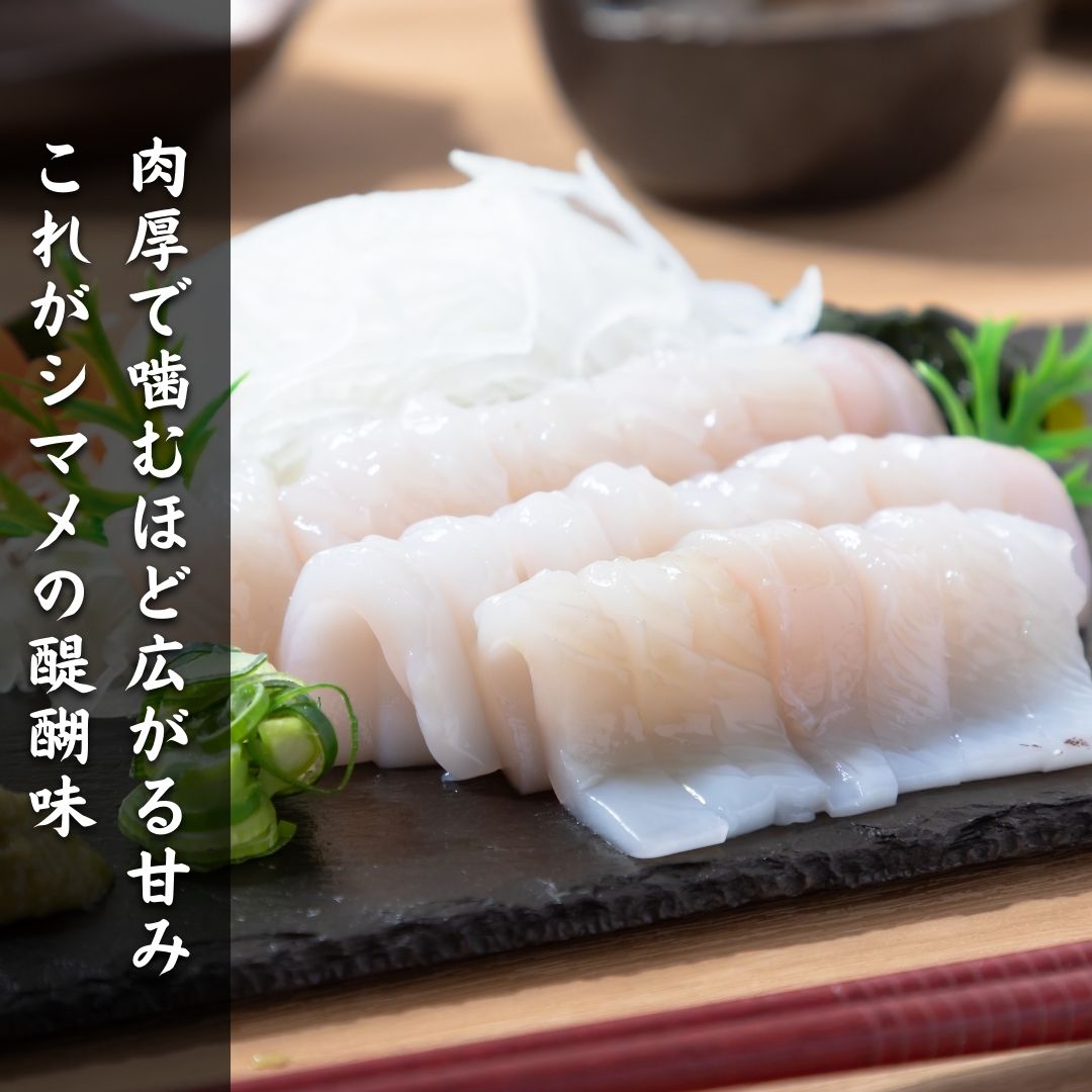 【朝どれシマメ 小サイズ丸ごと5杯セット】130g×5杯 いか イカ スルメイカ 朝どれシマメ