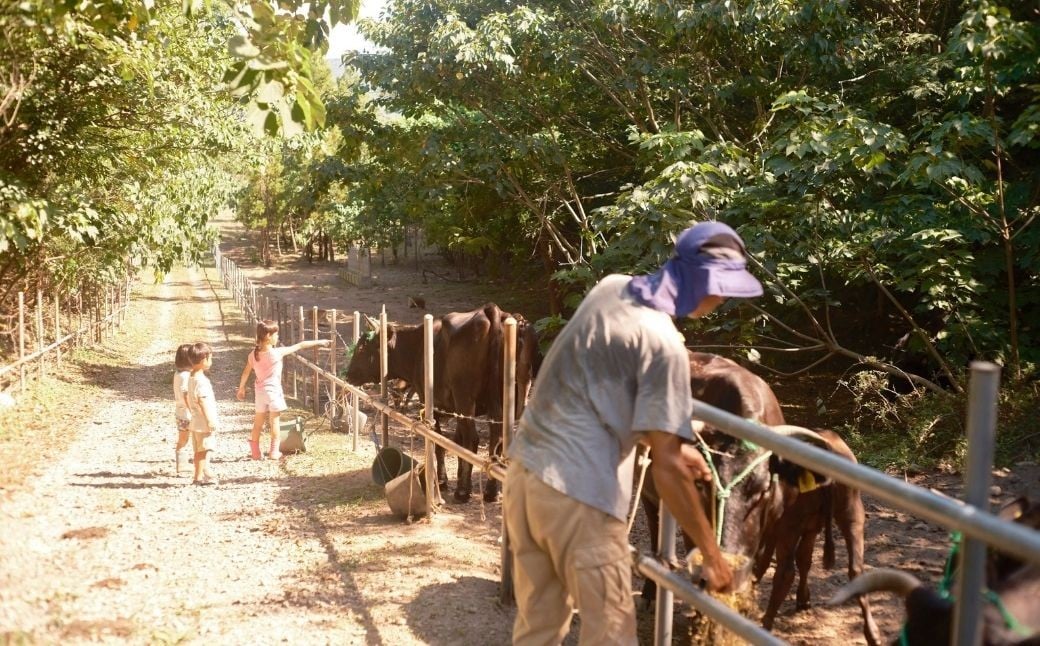 まきはた牛乳工房 バター(150g×2個セット) 【乳製品 バター 発酵バター 自家製 自家製乳酸菌 海士町】