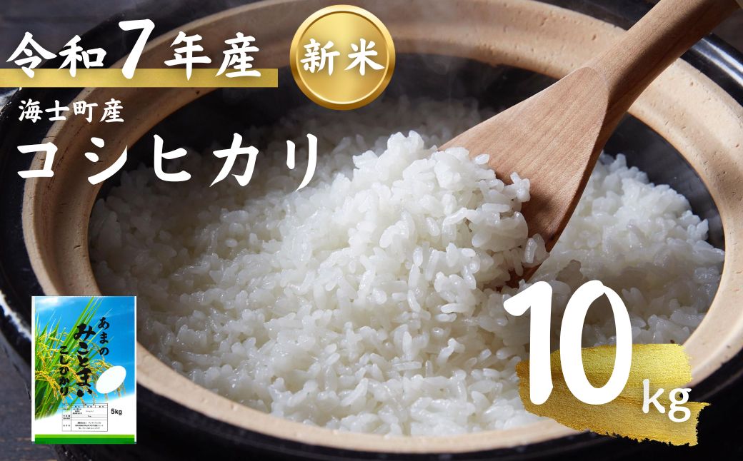 先行予約受付【令和7年度産 海士町産コシヒカリ10kg】島のコシヒカリをお届け！ お米 新米 精米 弁当 ごはん ご飯 こしひかり ギフト