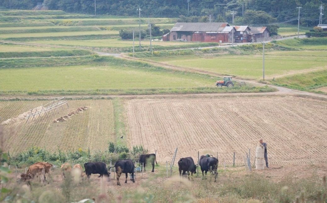 まきはた牛乳工房 バター(150g×2個セット) 【乳製品 バター 発酵バター 自家製 自家製乳酸菌 海士町】