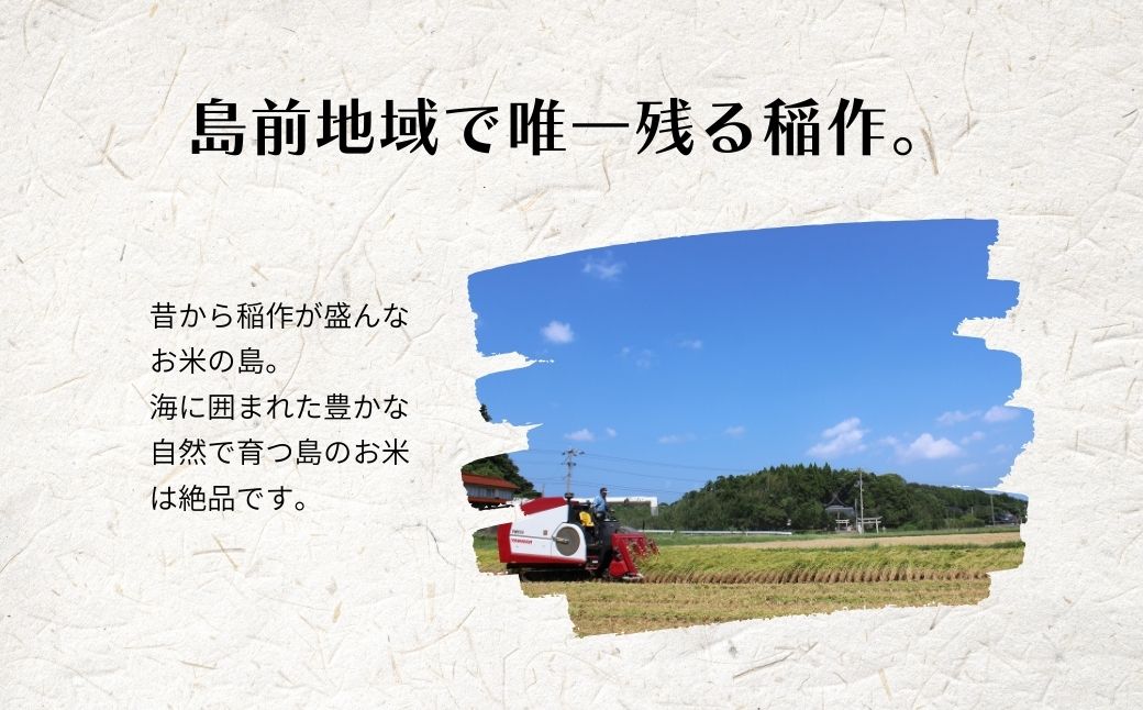 【令和7年度産 海士町産きぬむすめ10kg】島の新米きぬむすめをお届け！ お米 新米 精米 白米 弁当 ごはん ご飯 ギフト