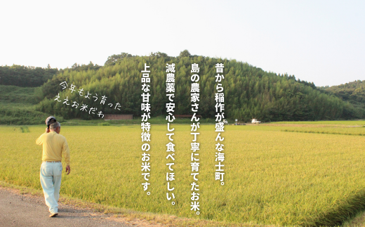 【令和7年度産 海士町産きぬむすめ5kg】島のきぬむすめをお届け！ お米 精米 白米 弁当 ごはん ご飯 きぬむすめ ギフト