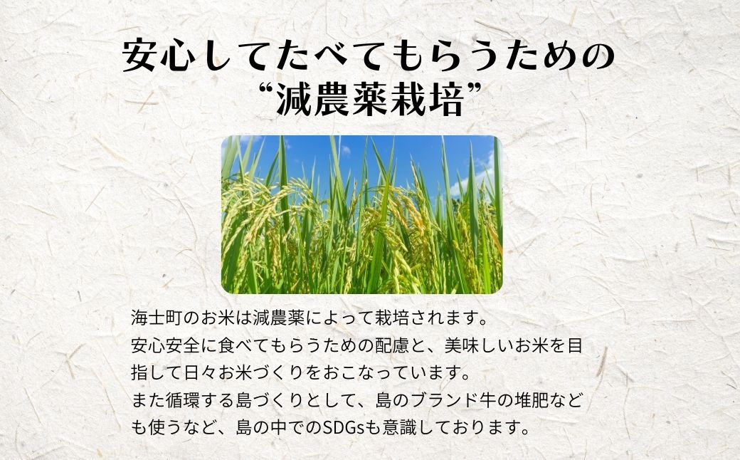 【令和7年度産 海士町産きぬむすめ10kg】島の新米きぬむすめをお届け！ お米 新米 精米 白米 弁当 ごはん ご飯 ギフト