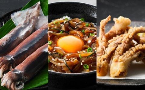 【寒シマメ三昧セット】スルメイカ3種セット お刺身・おつまみ・おかずにも！