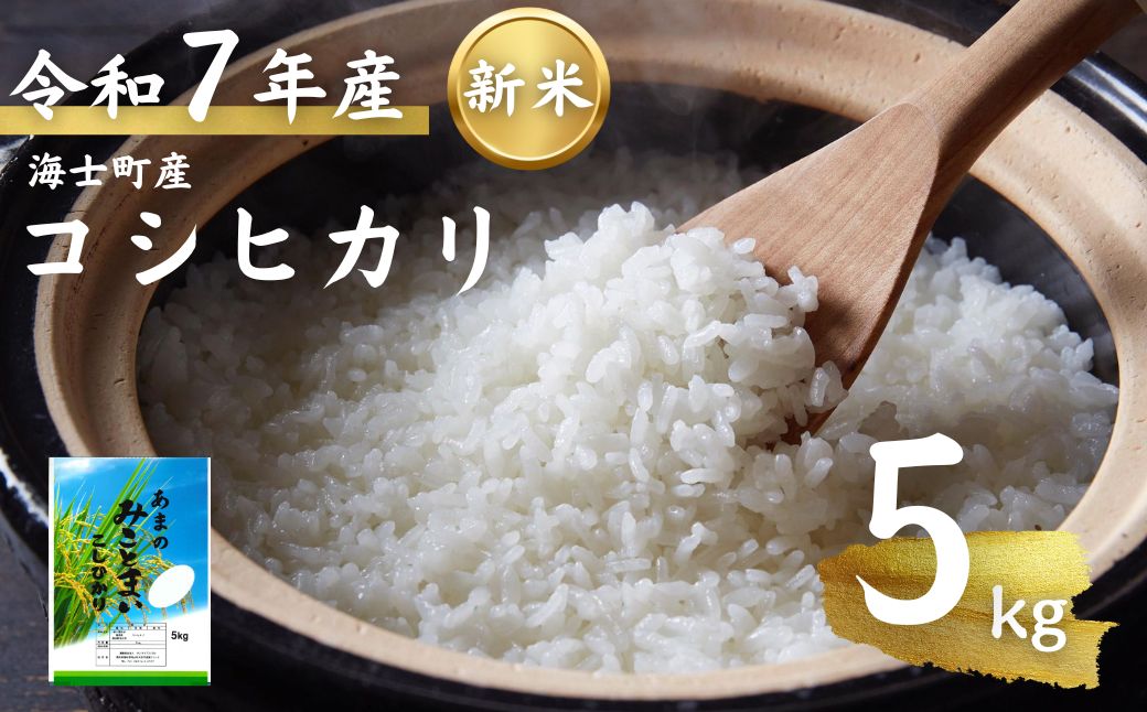 先行予約受付【令和7年度産 海士町産コシヒカリ5kg】島のコシヒカリをお届け！ お米 新米 精米 弁当 ごはん ご飯 こしひかり ギフト