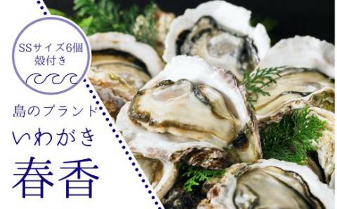 [ブランドいわがき春香]新鮮クリーミーな高級岩牡蠣 殻付きSSサイズ×6個