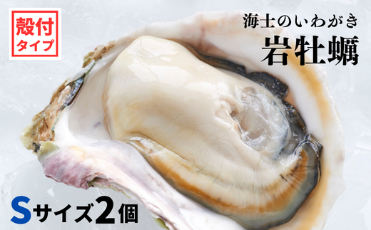 [海士のいわがき]新鮮クリーミーな高級岩牡蠣 殻付きSサイズ×2個