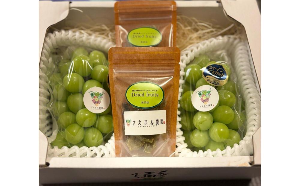 ぶどう 2025年  岡山県産 朝採れ シャインマスカット 2房（1kg以上）・シャインマスカットのドライフルーツ 40g×2袋 セット