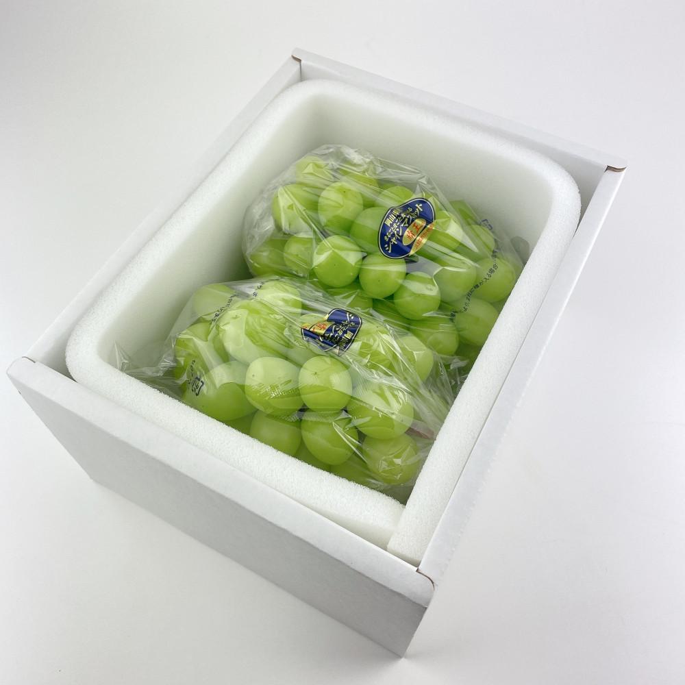 【2026年7月以降発送】岡山県産 シャインマスカット 晴王 2房 約1.4kg　7月～8月出荷　種無し 皮ごと食べる フレッシュ 先行受付　ハレノフルーツ