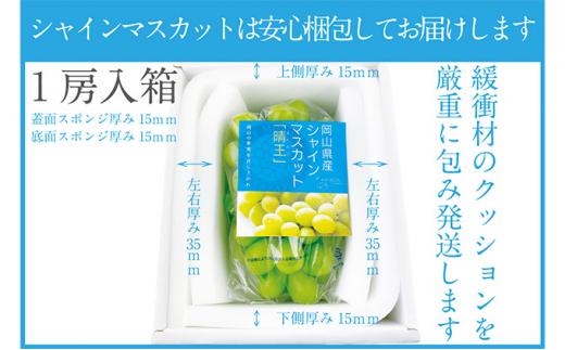 ぶどう 2026年  シャイン マスカット 晴王 1房 約670g | 晴れの国 おかやま 岡山県産 フルーツ王国 果物王国