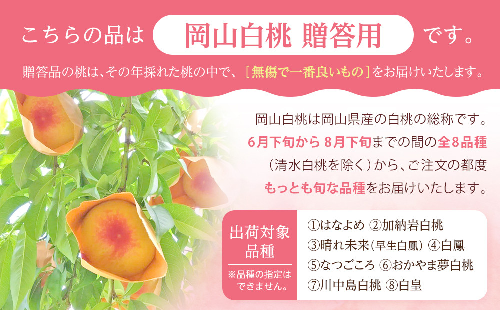 桃 2026年 贈答用 岡山 白桃  約2kg（5～7玉） もも モモ 岡山県 岡山市産 国産 フルーツ 果物 ギフト
