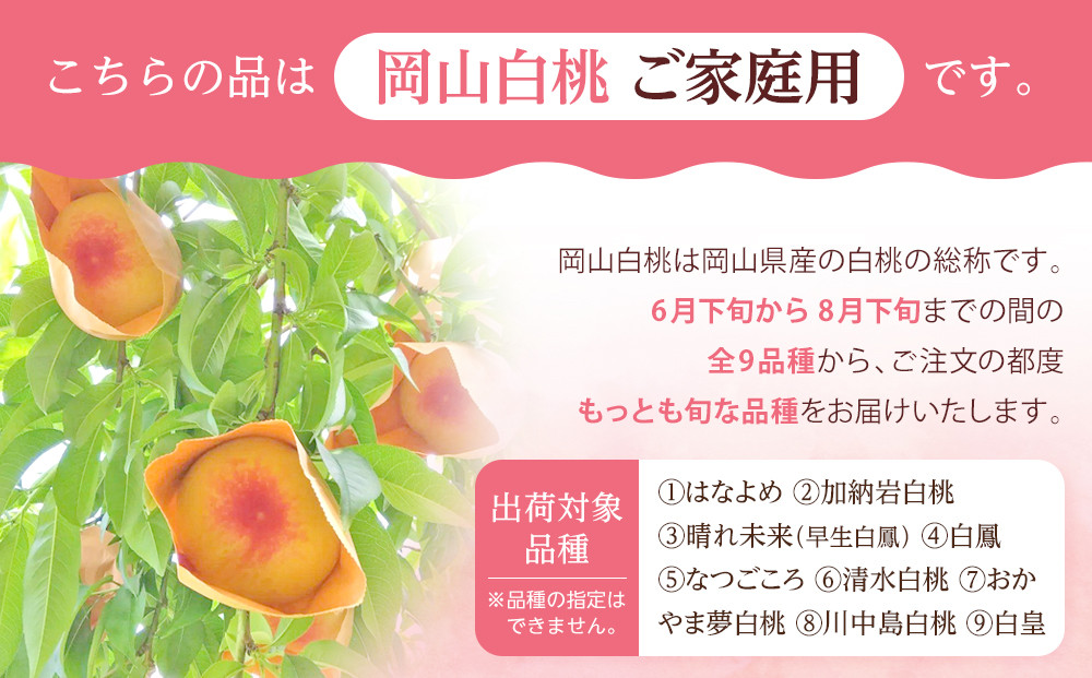桃 2026年 ご家庭用 岡山 白桃  約2kg（5～10玉） もも モモ 岡山県 岡山市産 国産 フルーツ 果物