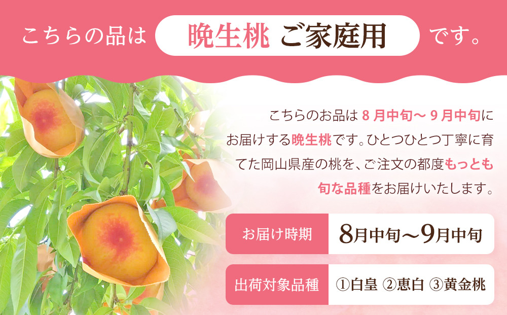 固めの 桃  2026年 ご家庭用 岡山 の 桃 晩生種 約2kg（5～9玉）（黄金桃の場合もあります） もも モモ 岡山県 岡山市産 国産 フルーツ 果物