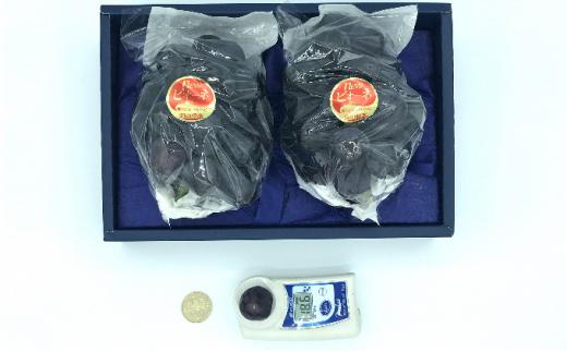 ぶどう 2026年  ニュー ピオーネ 2房（1房500g前後）産地直送 岡山県産 果物 ギフト たけまさぶどう園