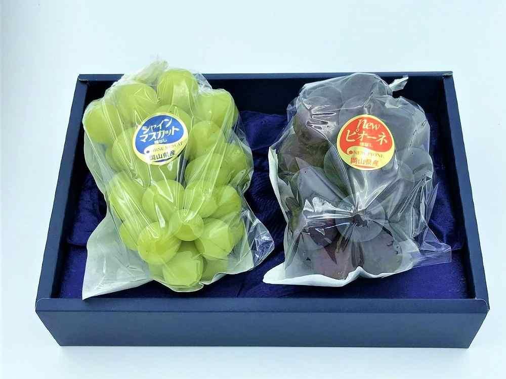 ぶどう 2026年  ニュー ピオーネ1房・シャインマスカット1房（1房500g前後）たけまさぶどう園