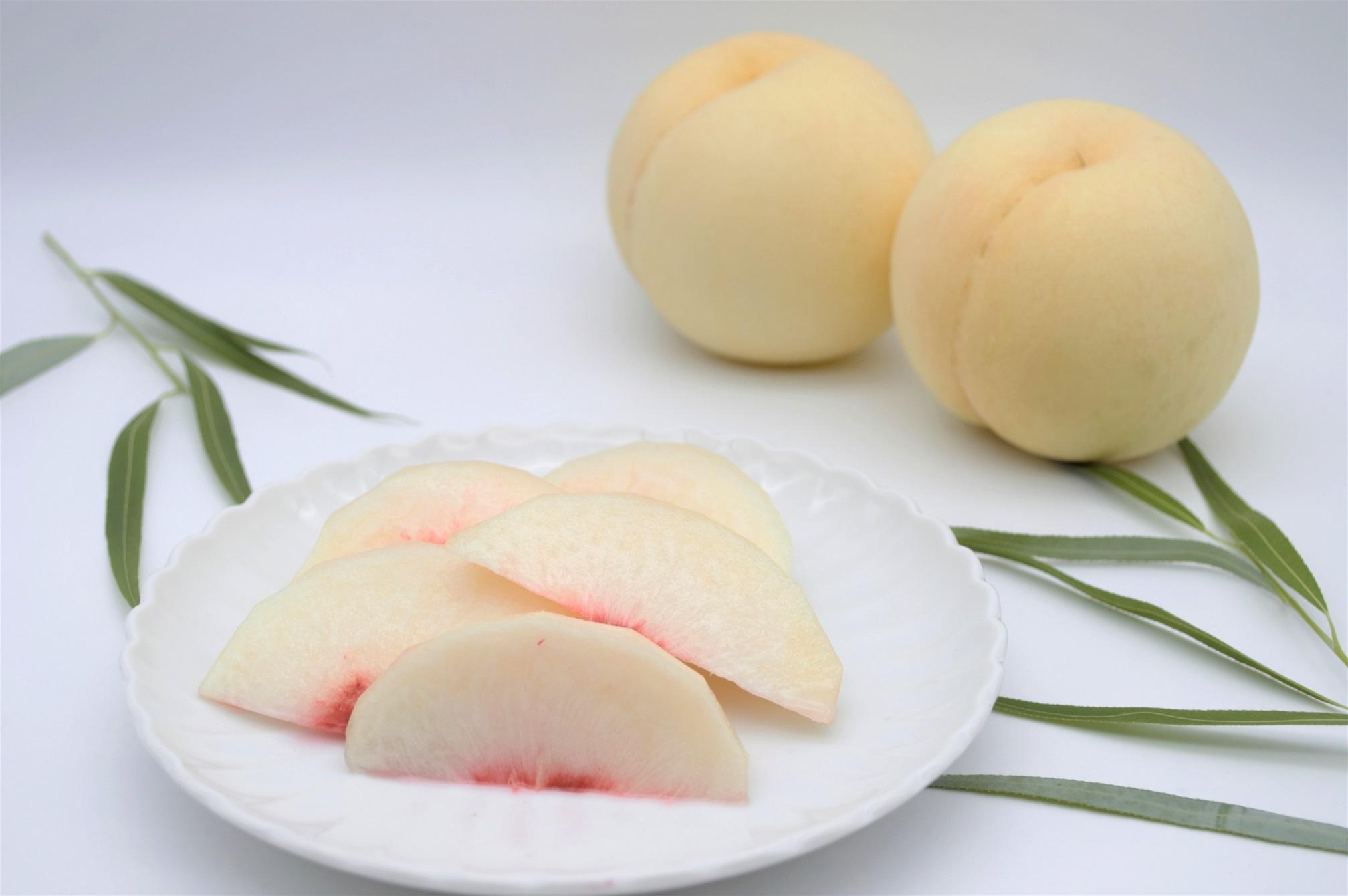 岡山白桃・晩生（ご家庭用）約２kg（６～９玉入り）【2026年発送】
