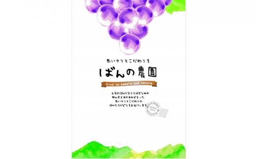 ぶどう 2026年  甲斐ノワール（ぶどう）約800g 農薬散布無し ハウス栽培  ブドウ 葡萄  岡山県産 国産 フルーツ 果物  ばんの農園