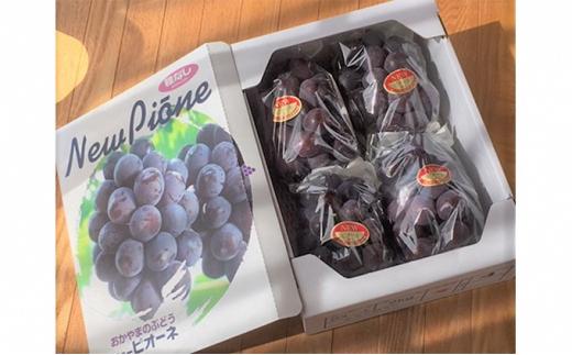 ぶどう 2026年  岡山県産 ニューピオーネ 4房 約2kg  贈答 ぶどう園AC