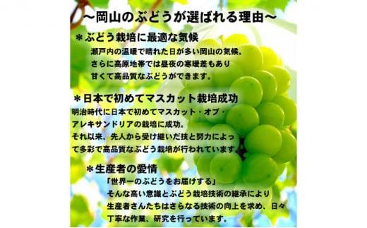 ぶどう 2025年  シャイン マスカット 【8月中旬～9月中旬頃発送】約2kg 糖度抜群！ ブドウ 葡萄 岡山県産 国産 フルーツ 果物 ギフト