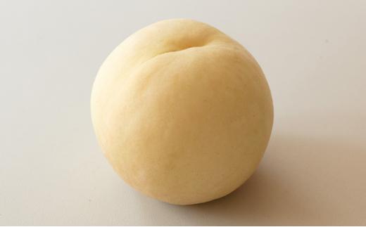 桃 2026年  井頭 白桃 4～6玉入り 1.5kg規格箱 もも モモ 岡山県産 国産 フルーツ 果物 ギフト 井頭栄果園