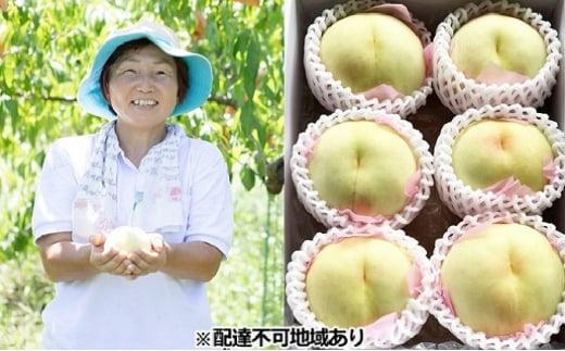 2025年  岡山市産 白桃 ご家庭用 約2kg（6～8玉）翁美の里＜2025年7月～8月上旬発送＞